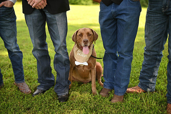 wedding-243
