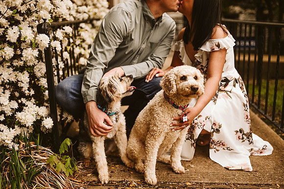 DSC_2577