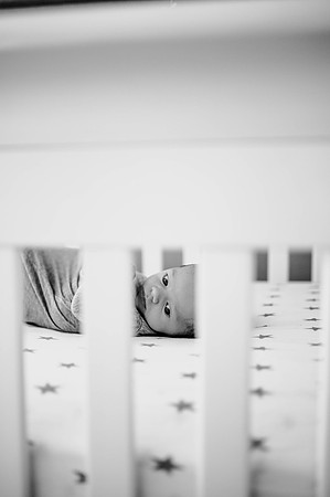 DSC_0533-2