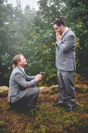 SDP_7190