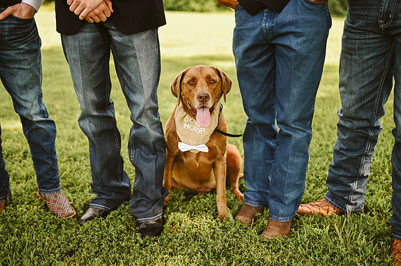 wedding-244