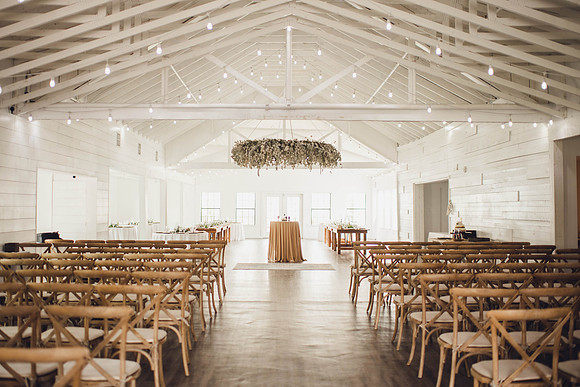 DSC_1979